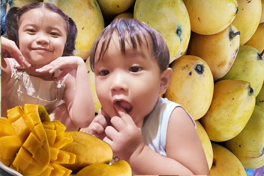 Mango Health Benefits for Kids | Mangifera indica