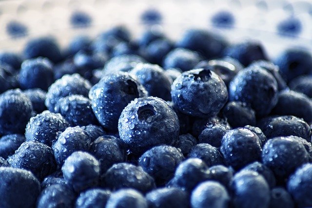 Blueberries Health Benefits: Unlocking a World of Health for Your Growing Family